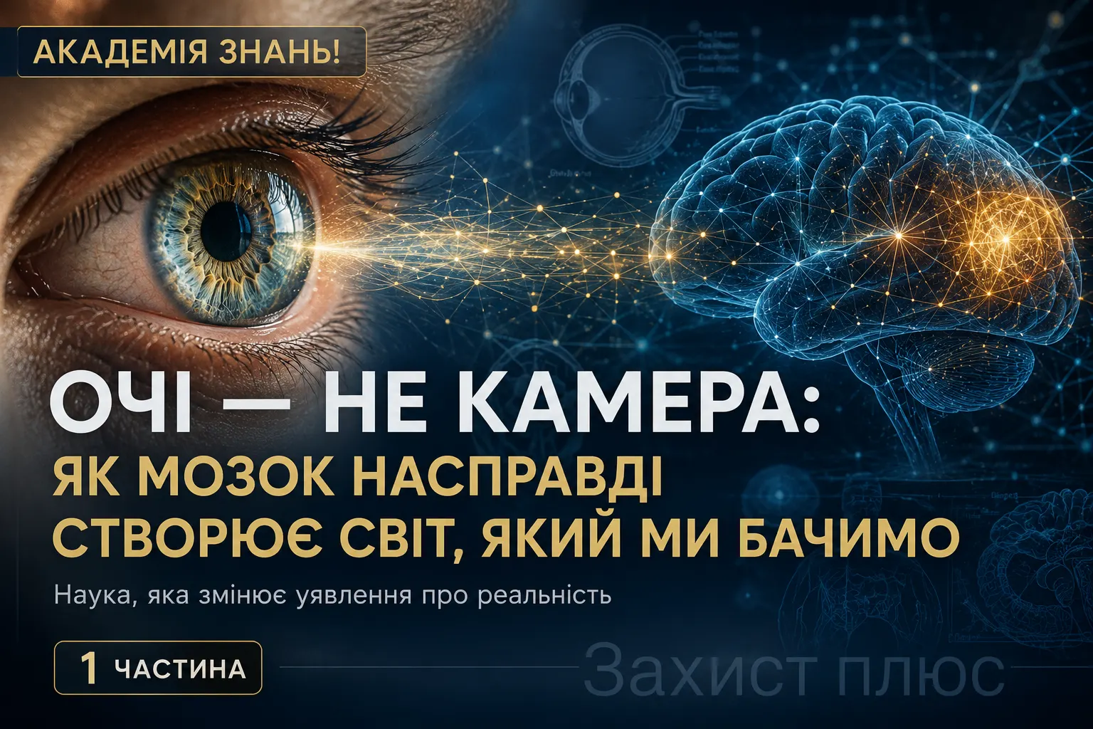 Очі — не камера: як мозок насправді створює світ, який ми бачимо. 1 частина