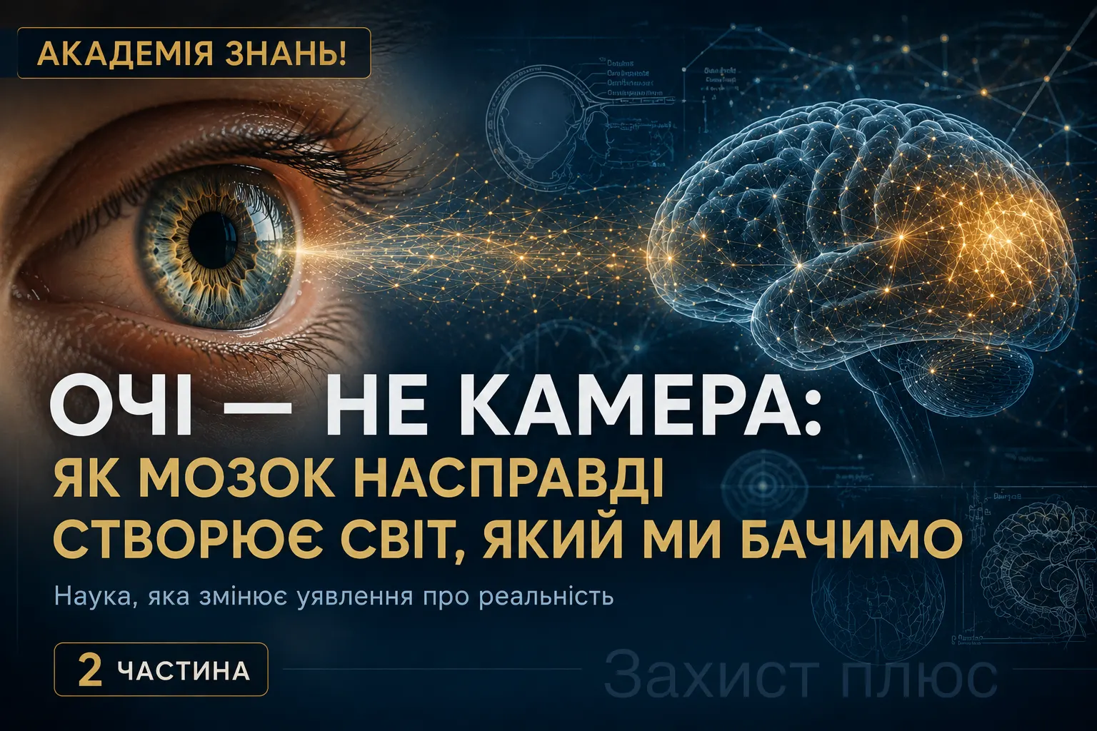 Очі — не камера: як мозок насправді створює світ, який ми бачимо. 2 частина